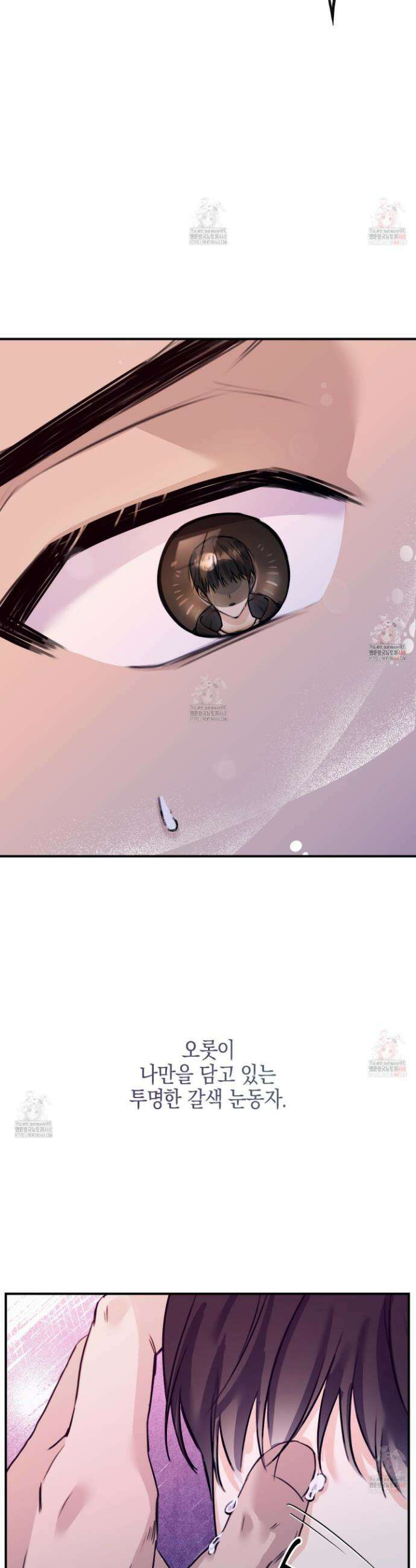 해와 달의 공생관계 48화 38