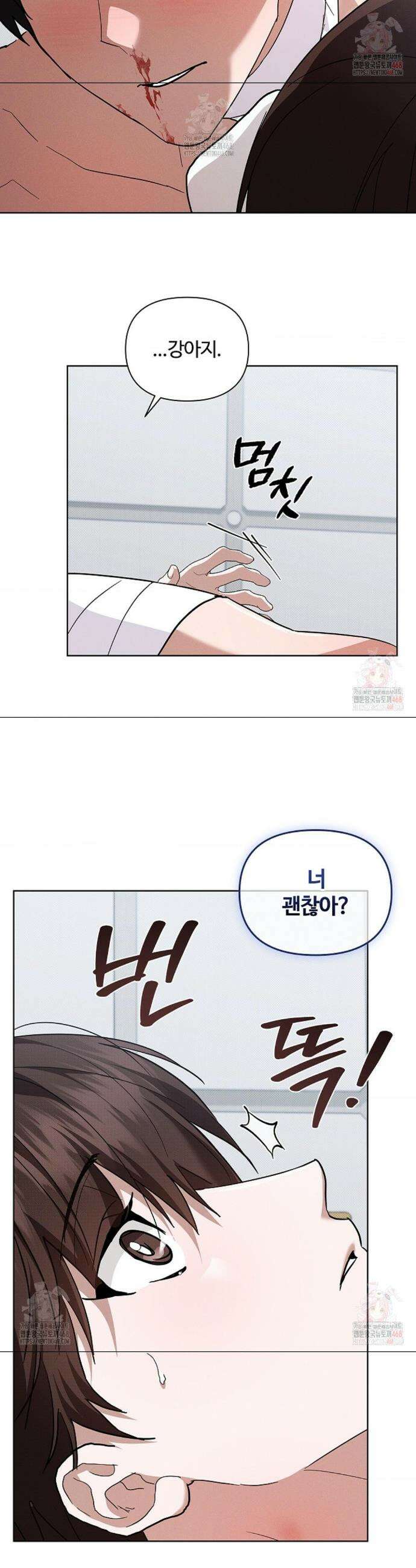 강아지는 건드리지 마라 43화 5