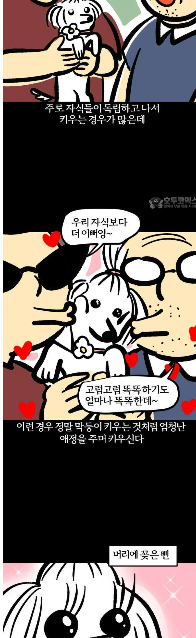 개집사 88화: 막둥이 4
