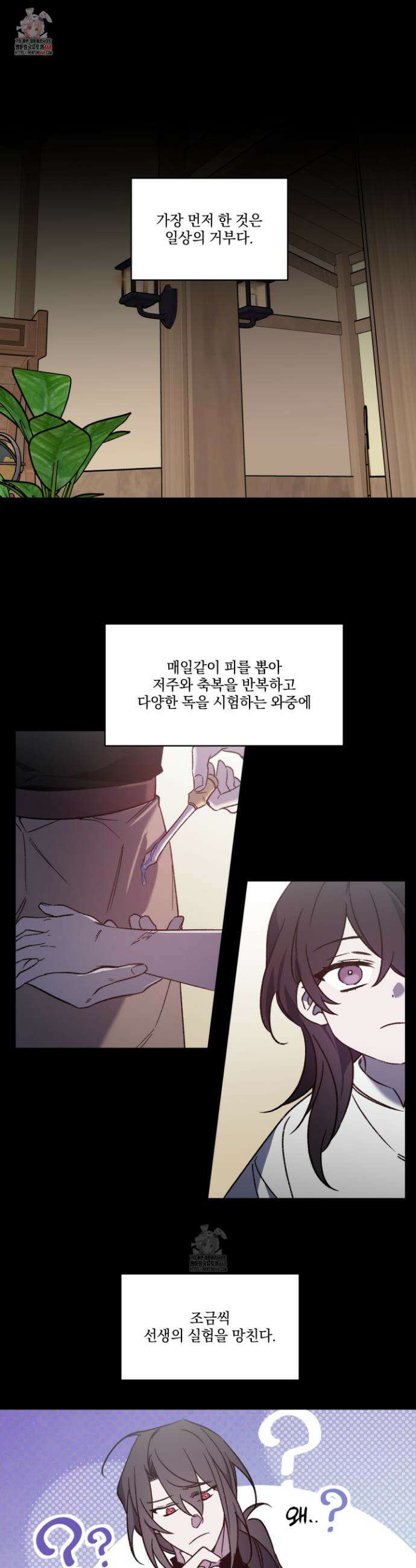 백작님! 사랑을 주세요 90화 1