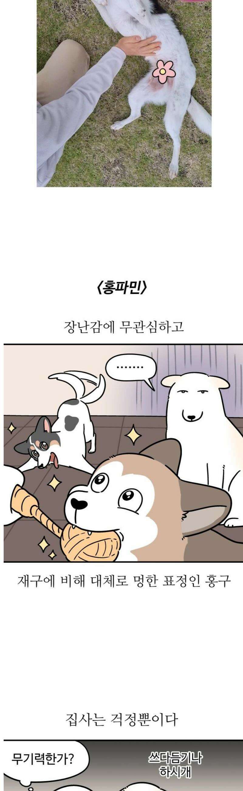 노곤하개 쇼츠 외국인을 만나면 5
