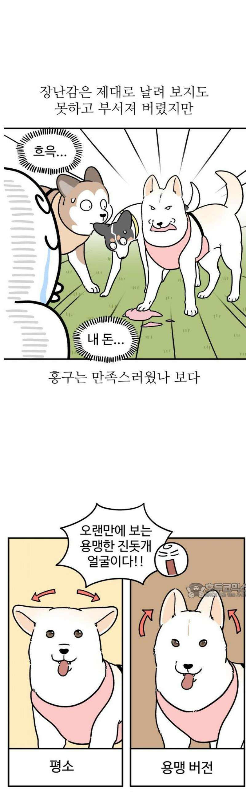 노곤하개 쇼츠 외국인을 만나면 10