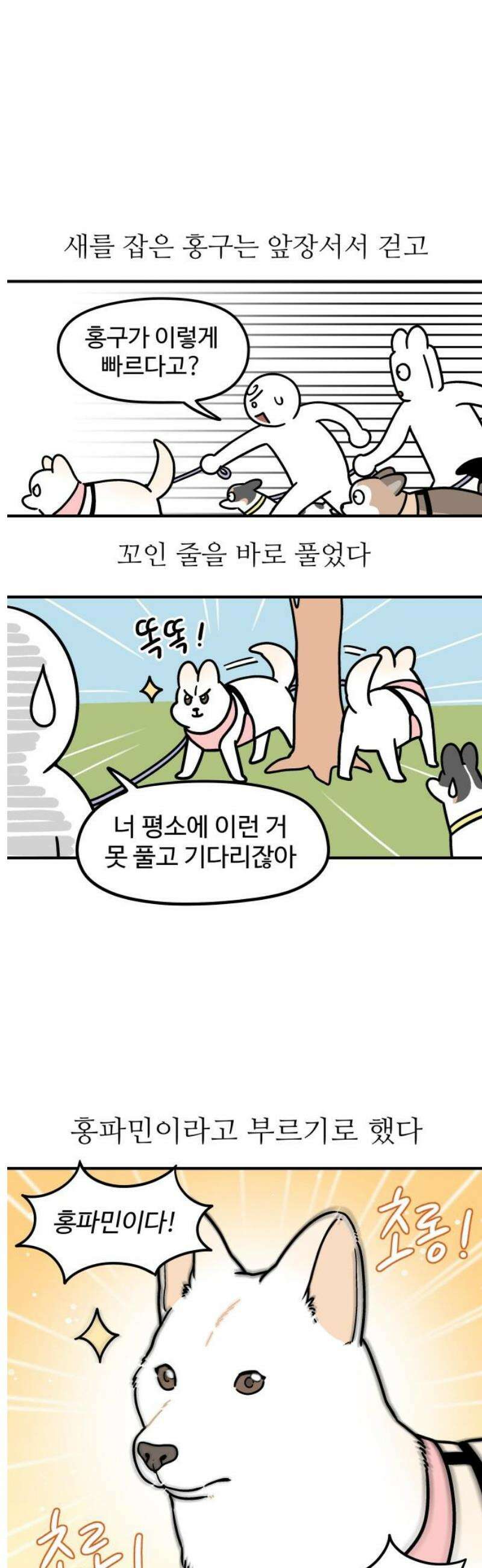 노곤하개 쇼츠 외국인을 만나면 11