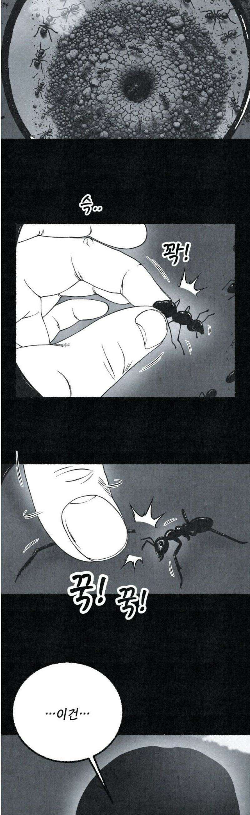 벌집 76화 8