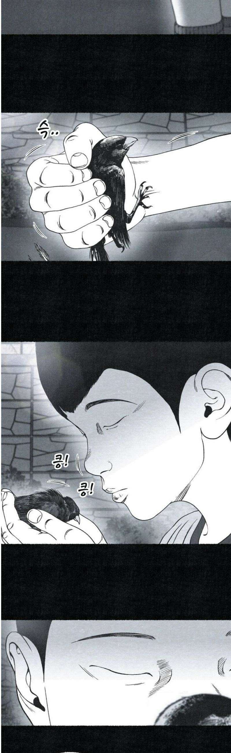 벌집 76화 10