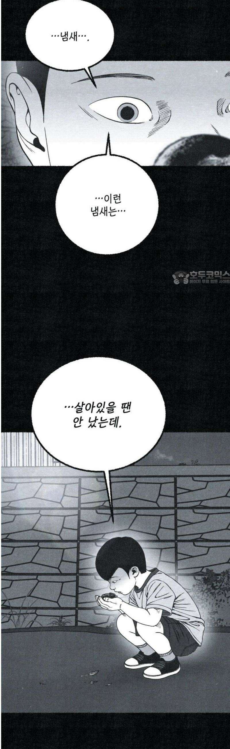 벌집 76화 11
