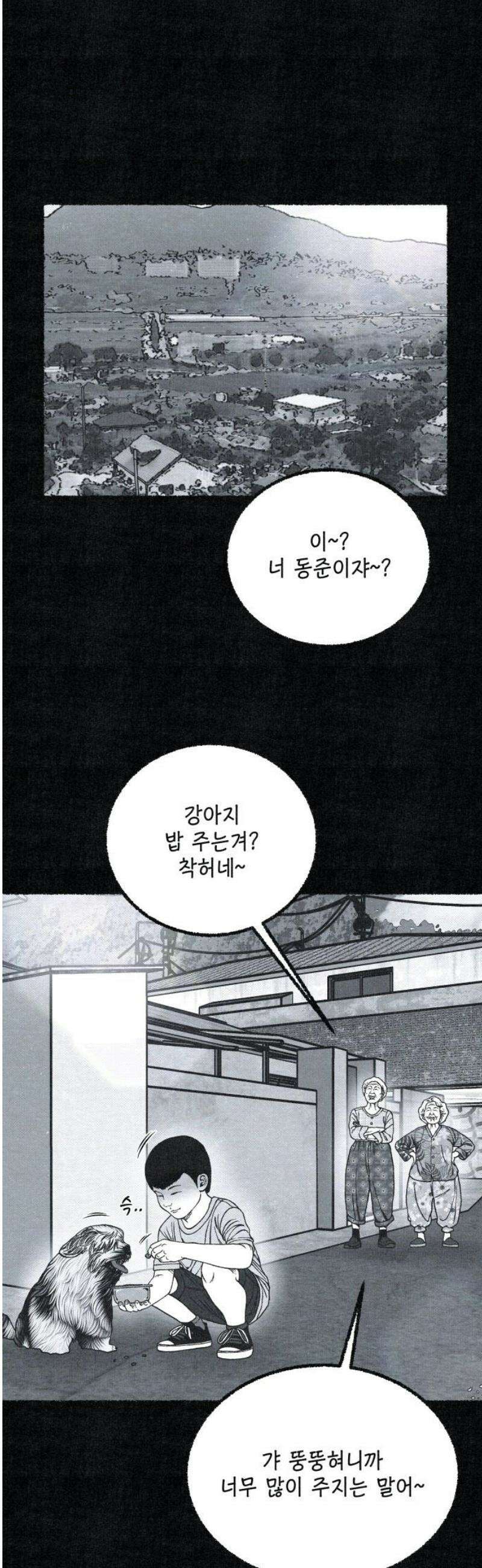 벌집 76화 12