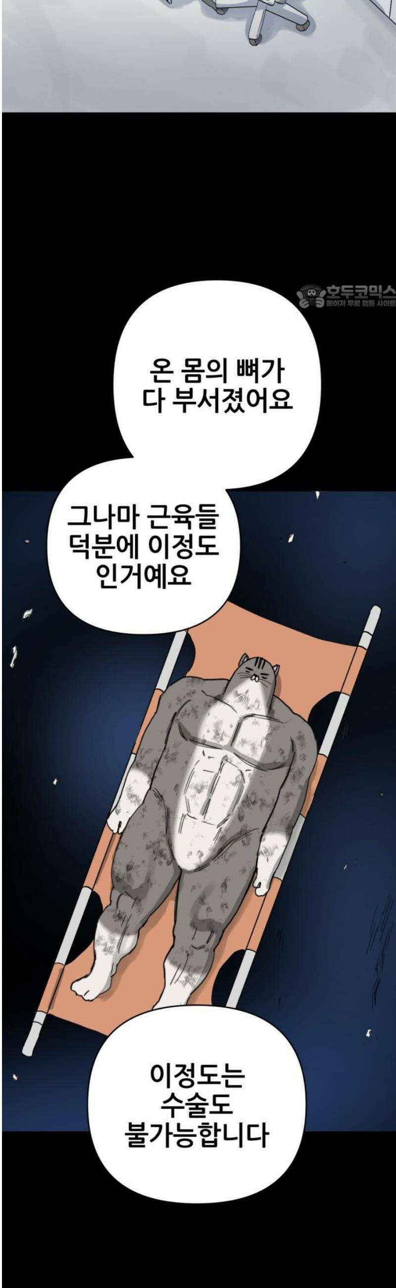 괴양이 96화 - 마지막 인사 9