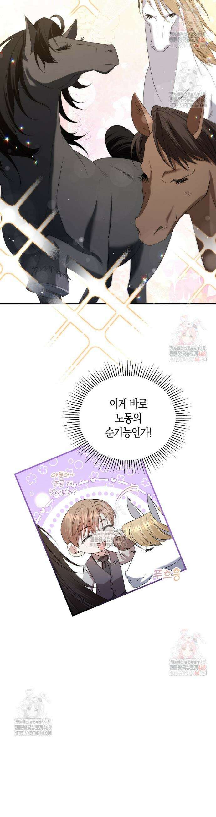 영웅은 됐어요, 은퇴라면 몰라도 66화 14