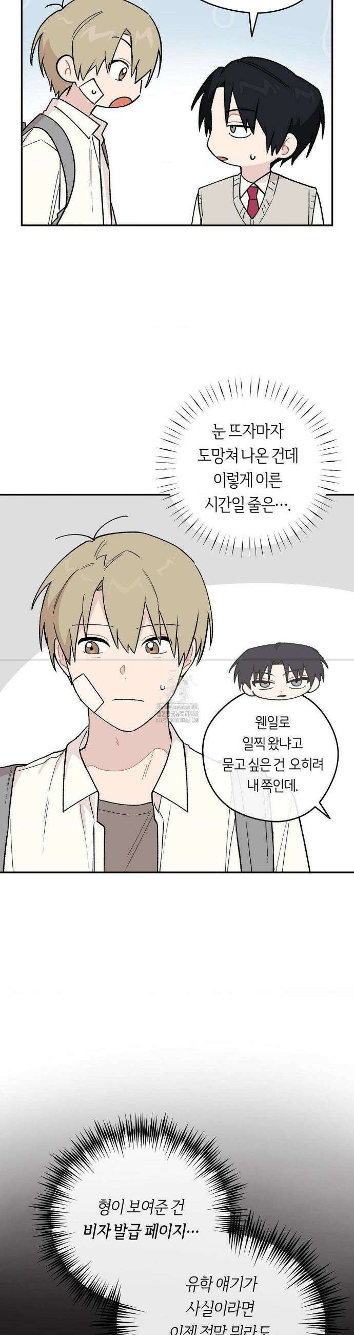 비상! 청춘기록부 5화 3