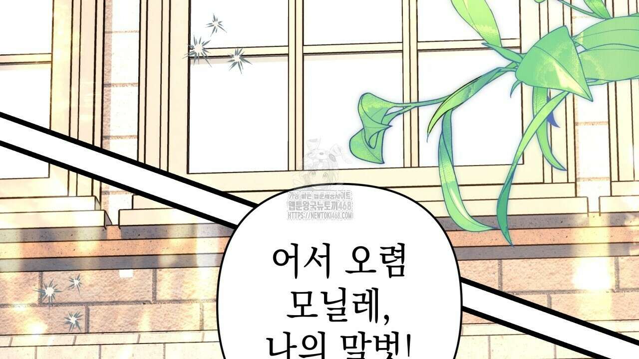 아무튼 로판 맞습니다 135화 2