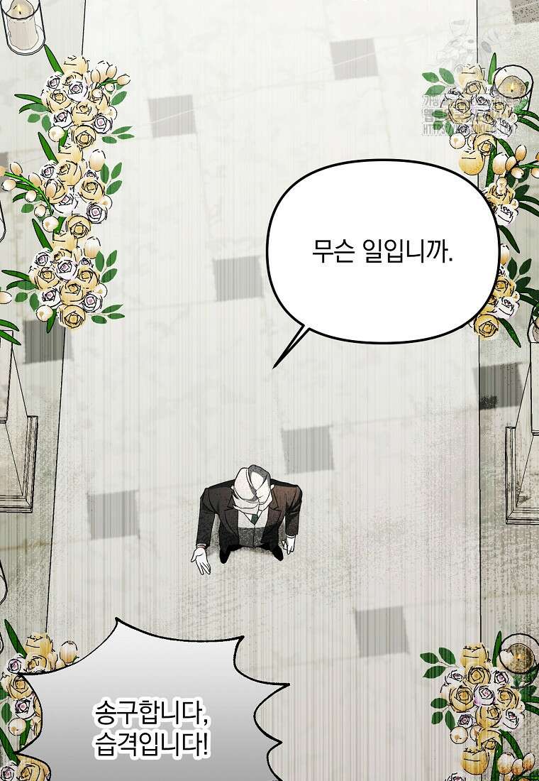 아카데미의 천재 테이머 47화 94