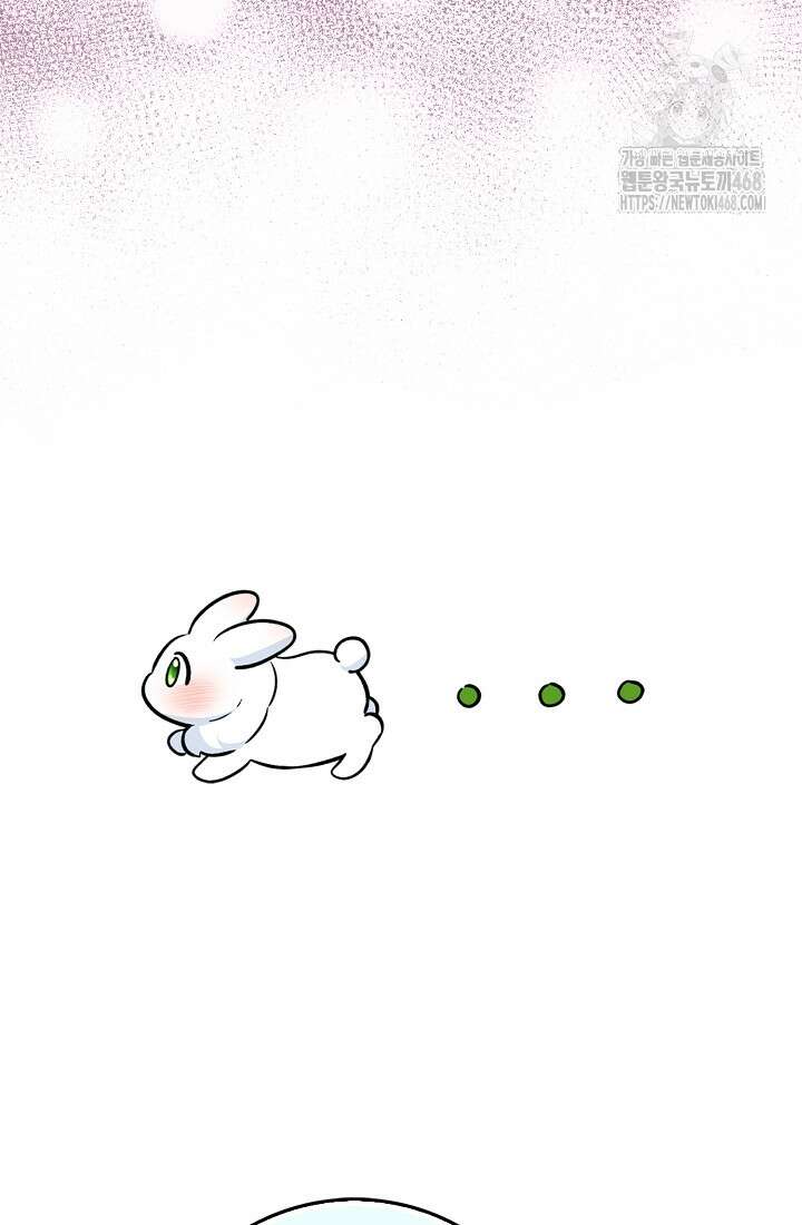 토끼라뇨, 누가 봐도 맹수인데 28화 36
