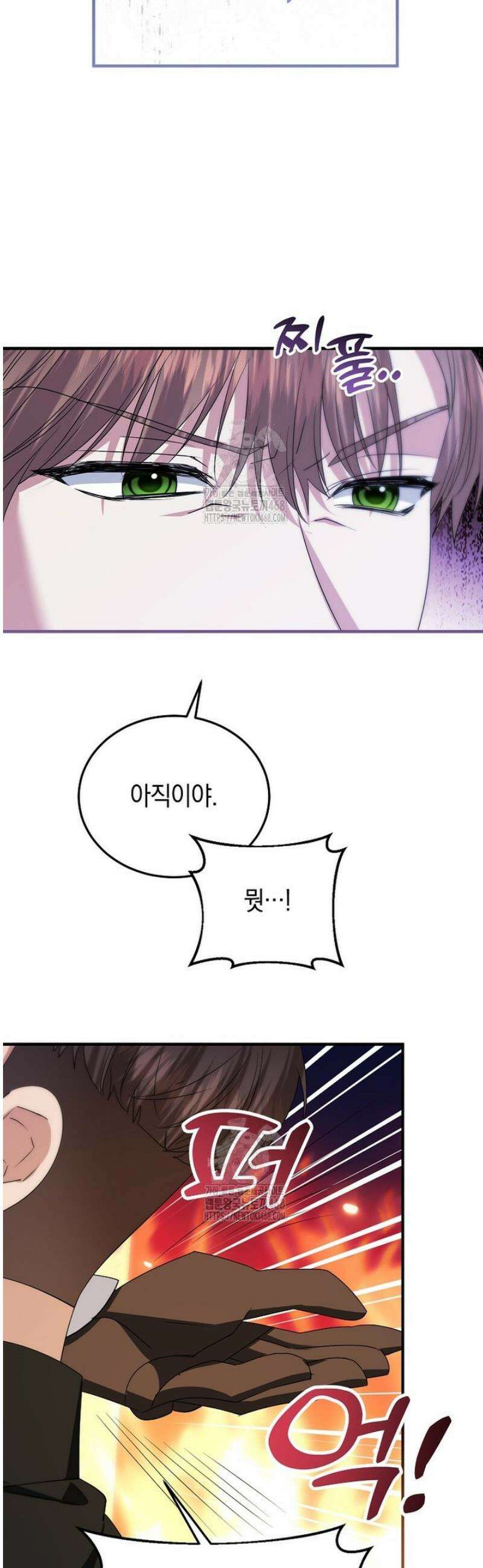 영웅은 됐어요, 은퇴라면 몰라도 70화 29