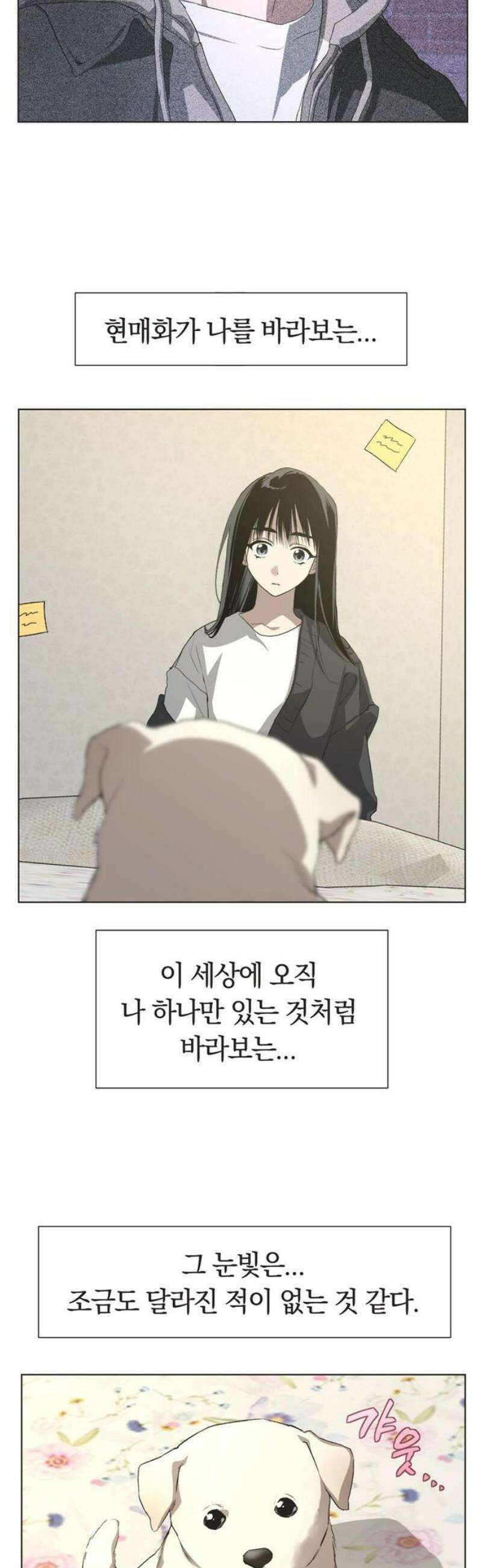 불완전 신데렐라물 82화 6