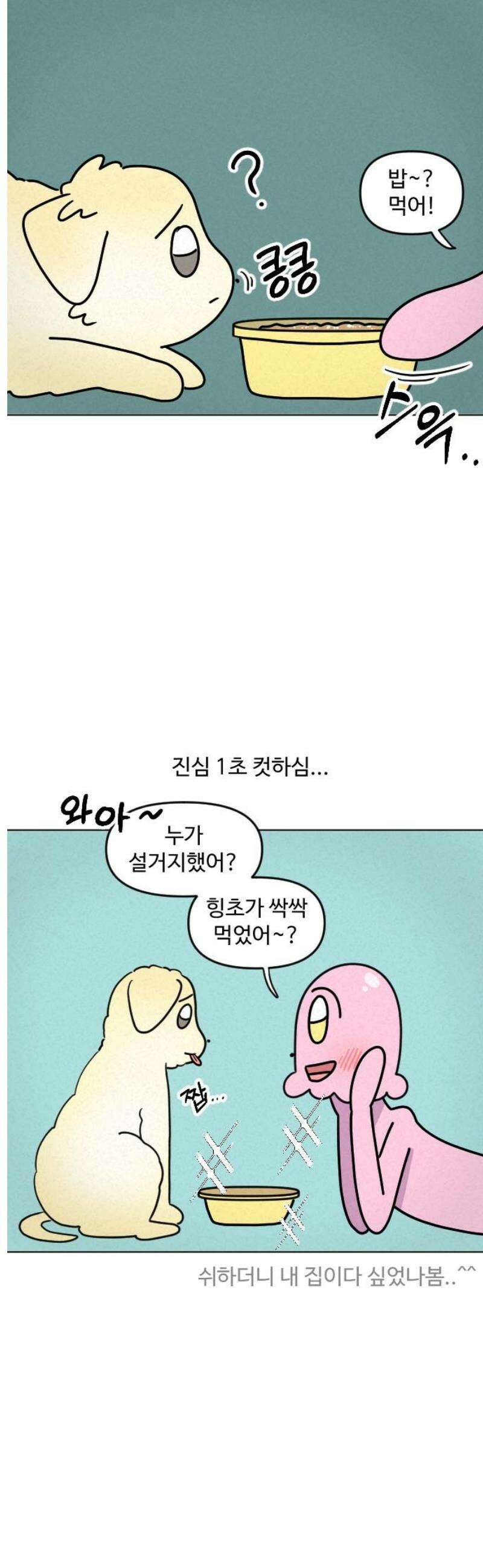 쌉초의 난 127화 김힝초의 쌉초 집 적응기2 3