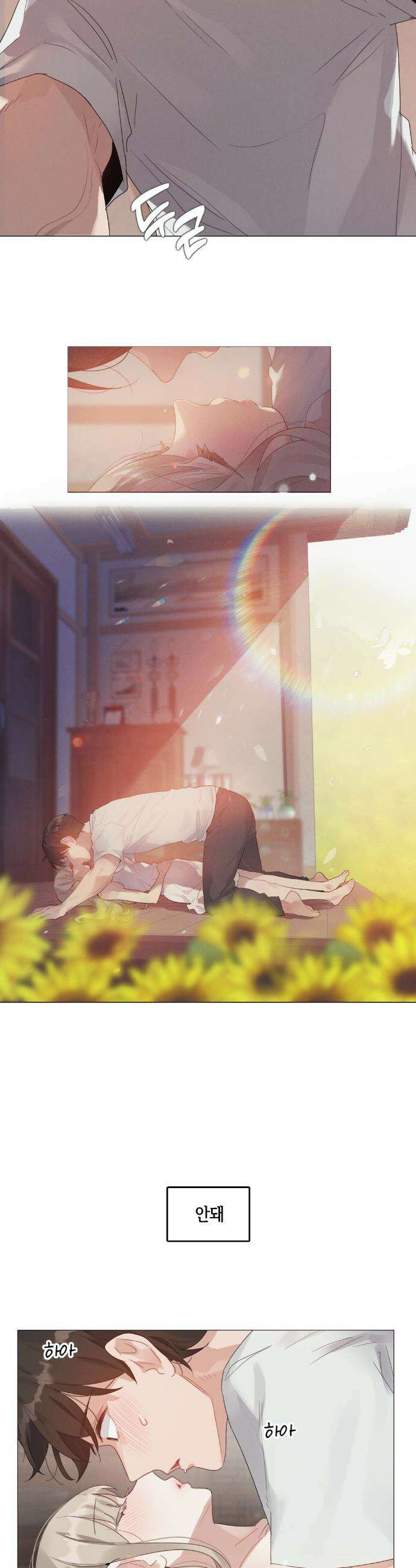 해바라기가 속삭이는 계절에 4화 4