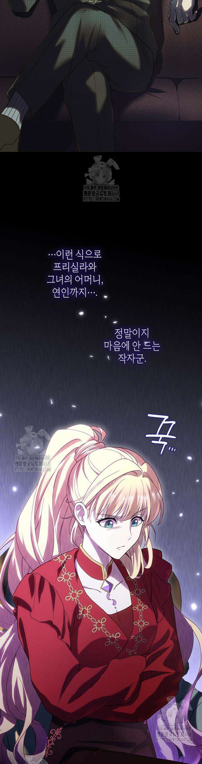대공비가 된 마탑주 46화 12