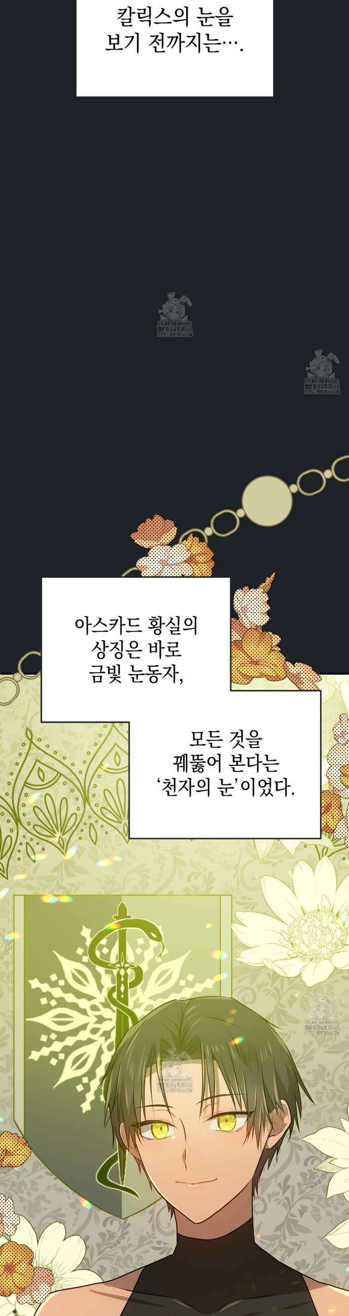 소꿉친구들이 나를 죽이려 한다 21화 9