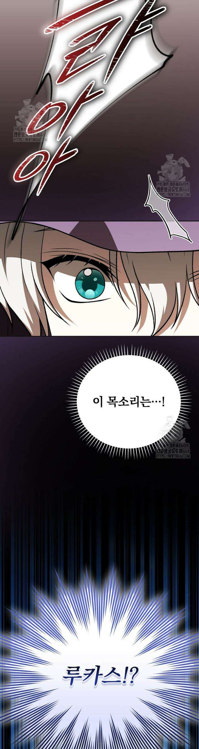 개념 잡는 마법 천재 30화 5