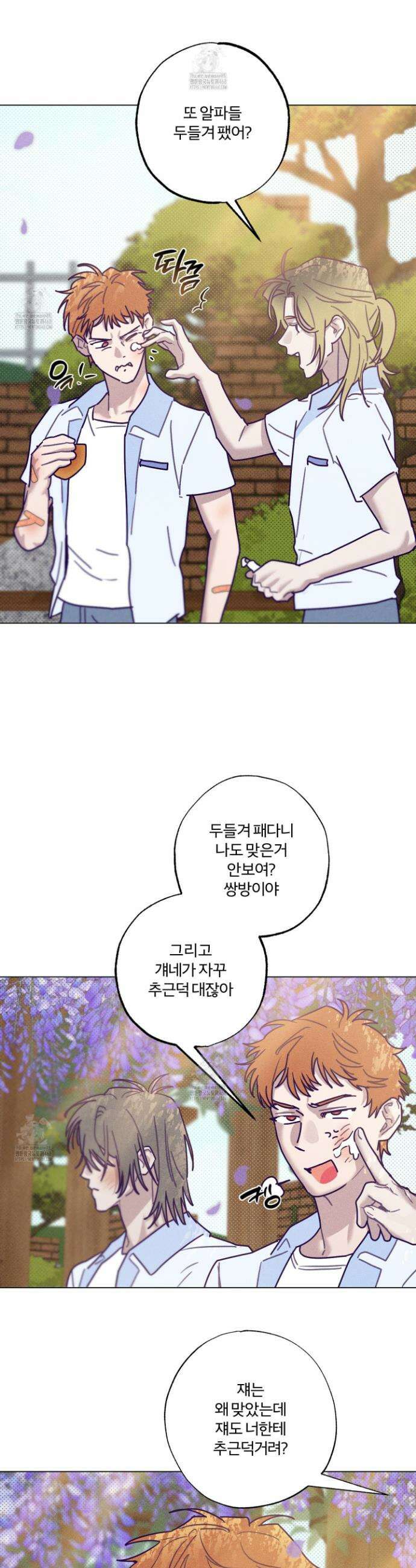 프리즌 블랙퍼스트 50화 21