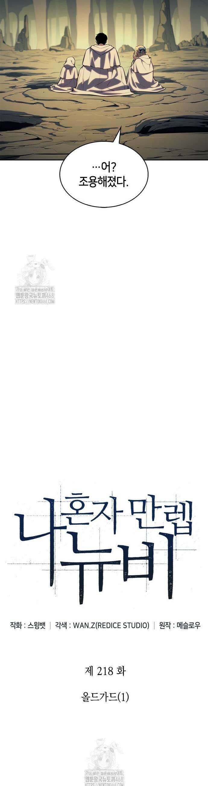 나 혼자 만렙 뉴비 218화 5