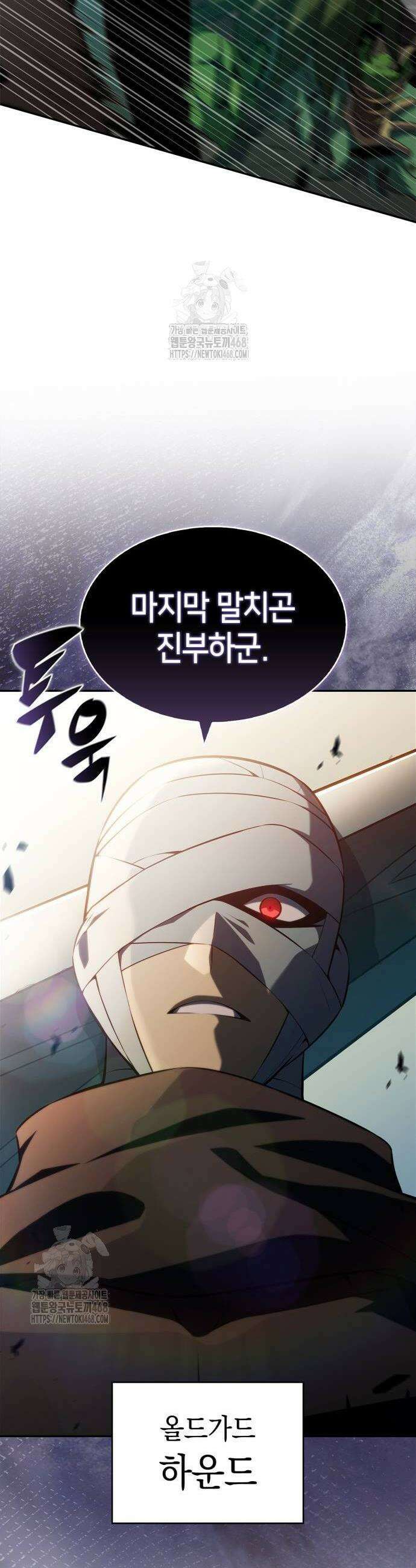 나 혼자 만렙 뉴비 218화 10