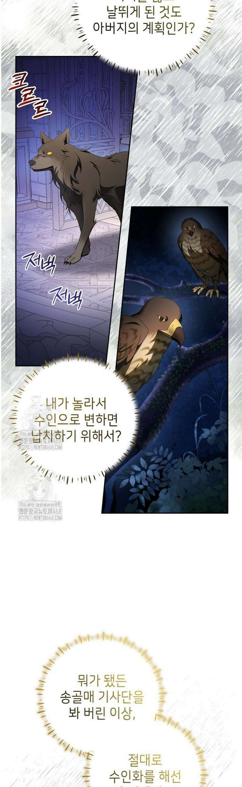 늑대 저택의 사랑받는 새아가 52화 6
