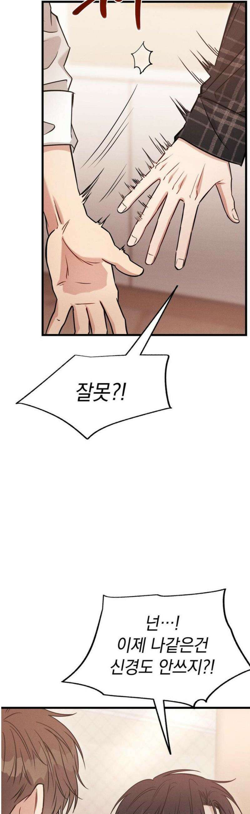 플라시보(레진) 외전 4화 2