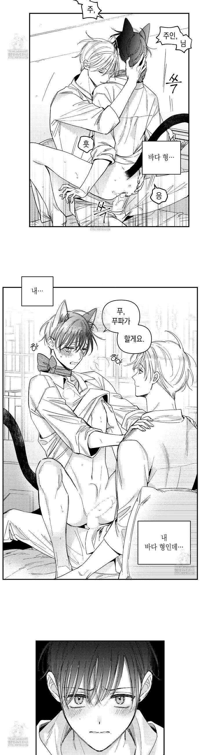 바다 밑 산호 속에는 34화 23