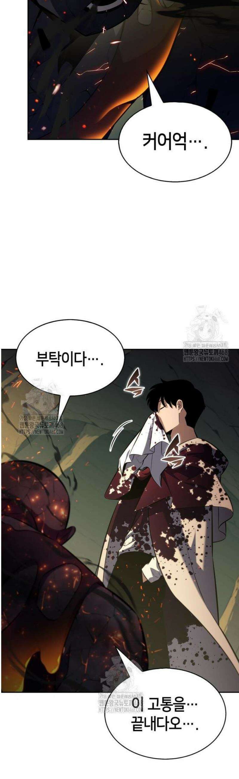 나 혼자 만렙 뉴비 223화． 패도의 왕관(2) 11
