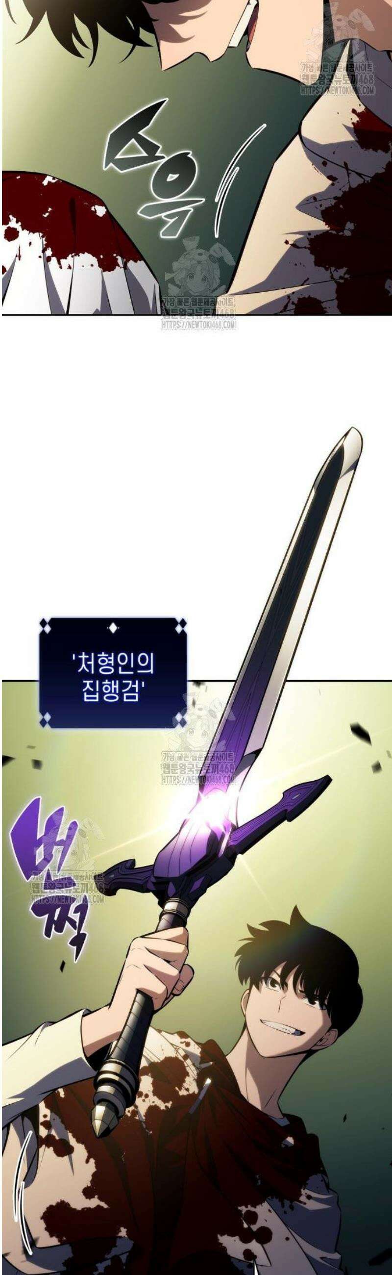 나 혼자 만렙 뉴비 223화． 패도의 왕관(2) 13