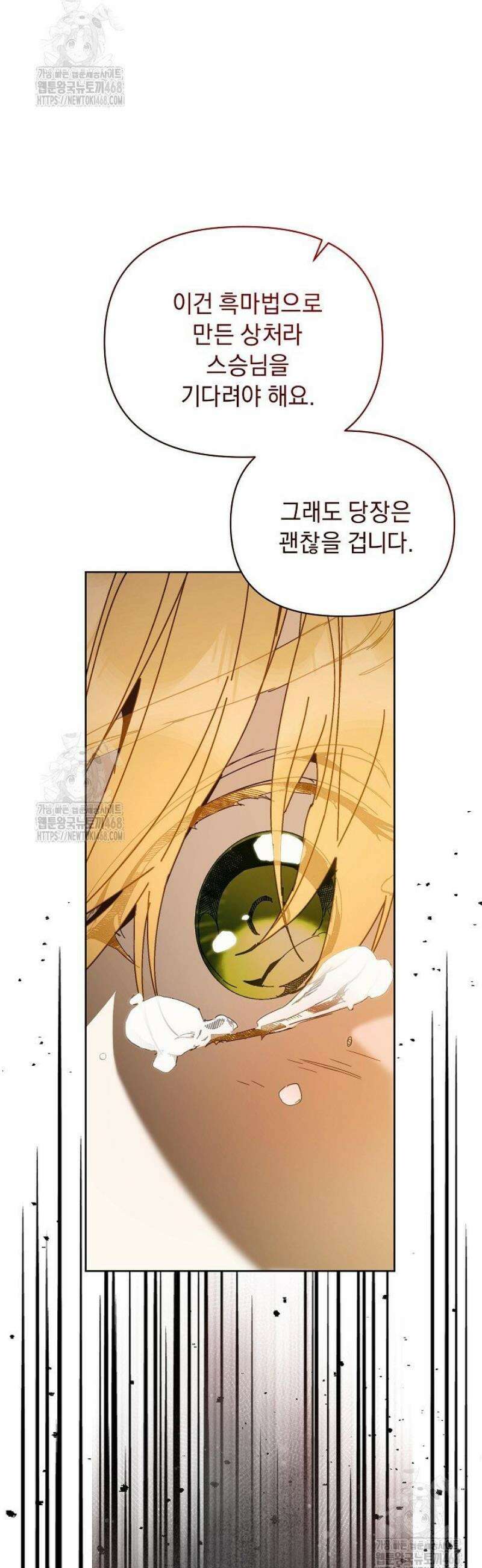 흑막 남주의 시한부 유모입니다 87화 55
