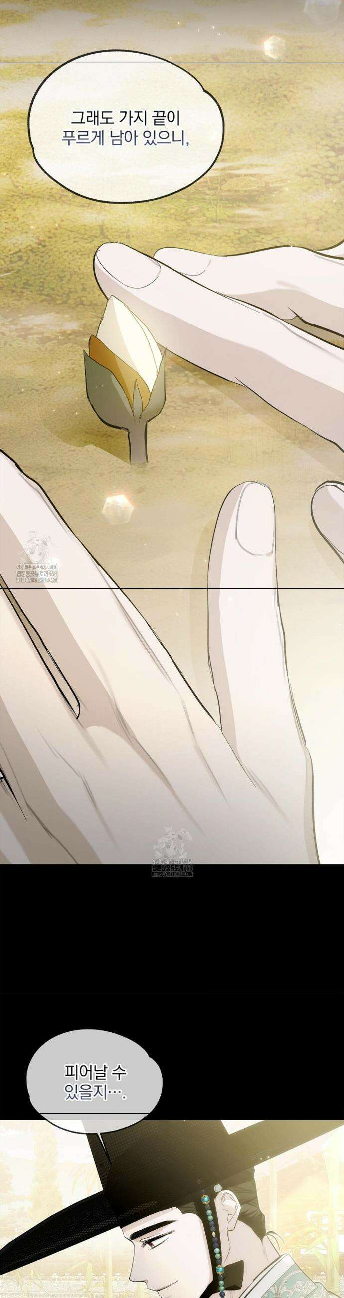 갓뎀 로맨스 12화 39