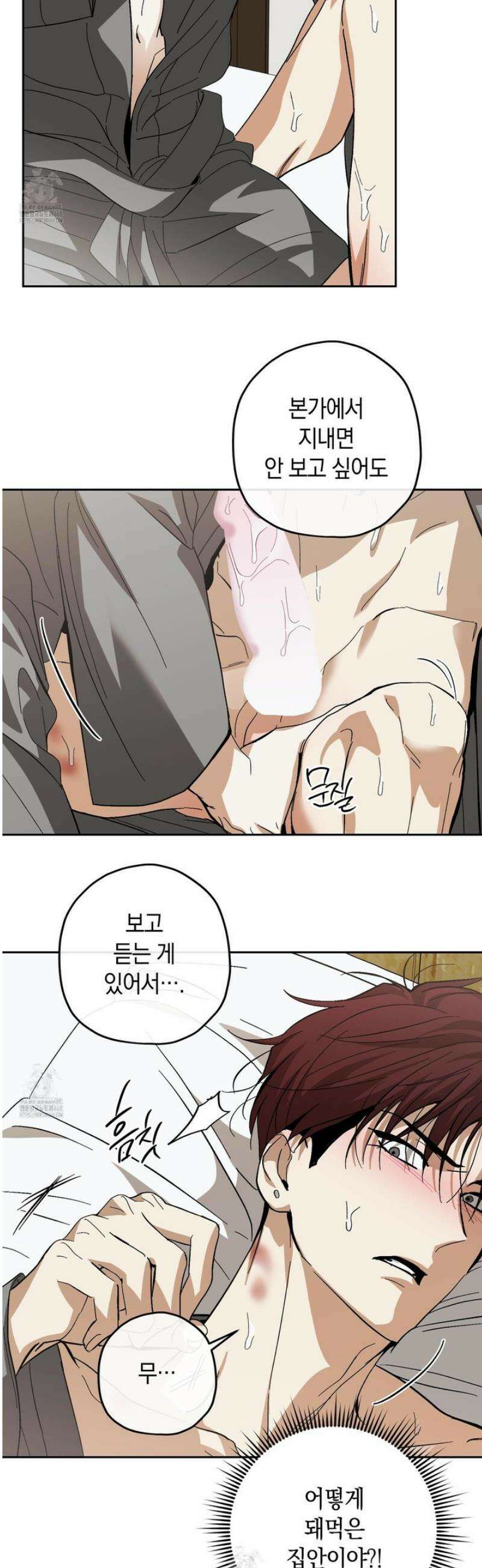 호호상박 15화 4