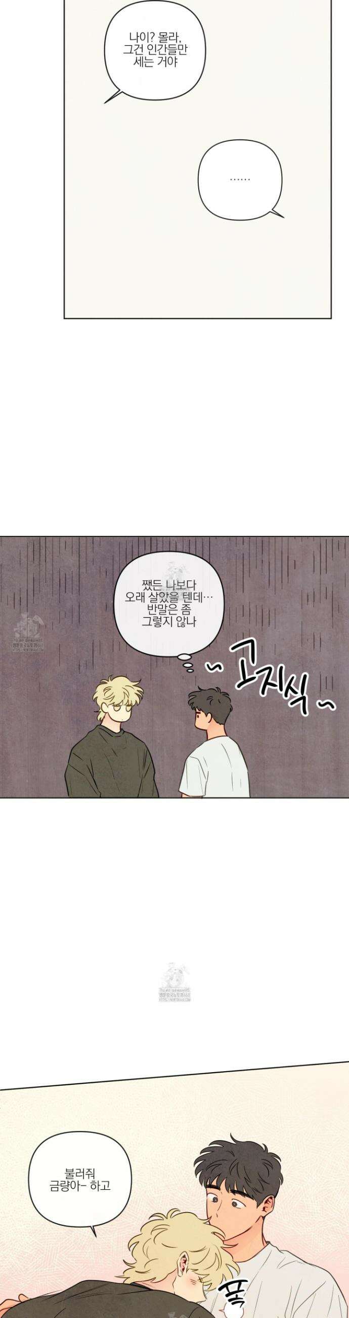 신을 품는 방법 51화(최종화) 17