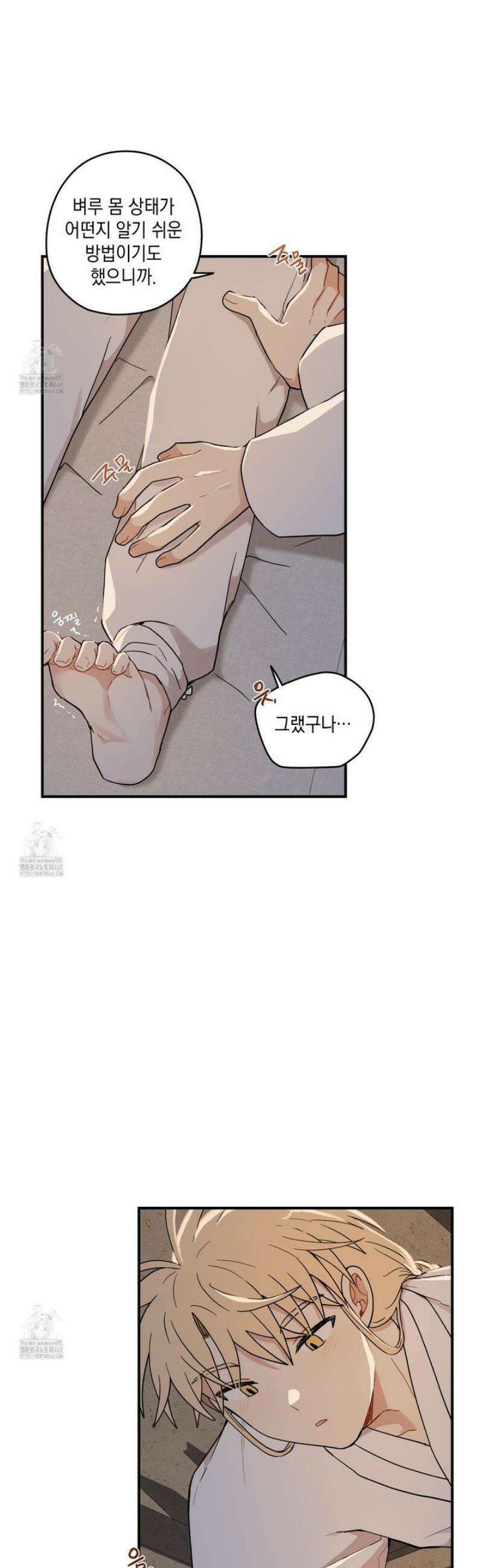 개나리가 떨어진 길 98화 26