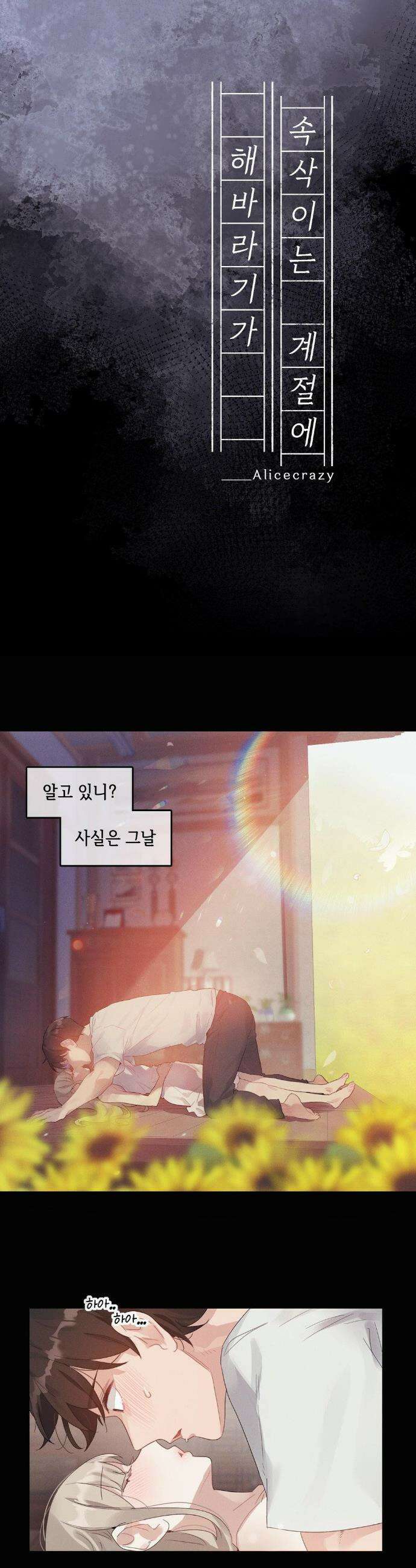 해바라기가 속삭이는 계절에 10화 1