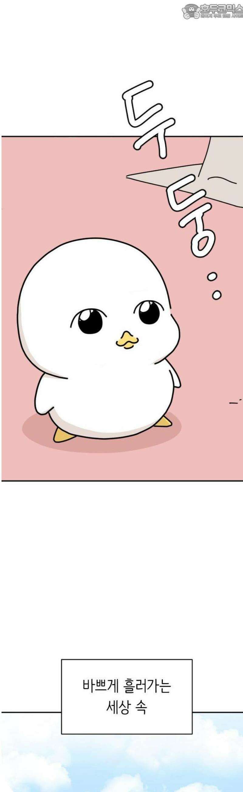 오리짱! 1화 함께 살게 되기까지(1) 4