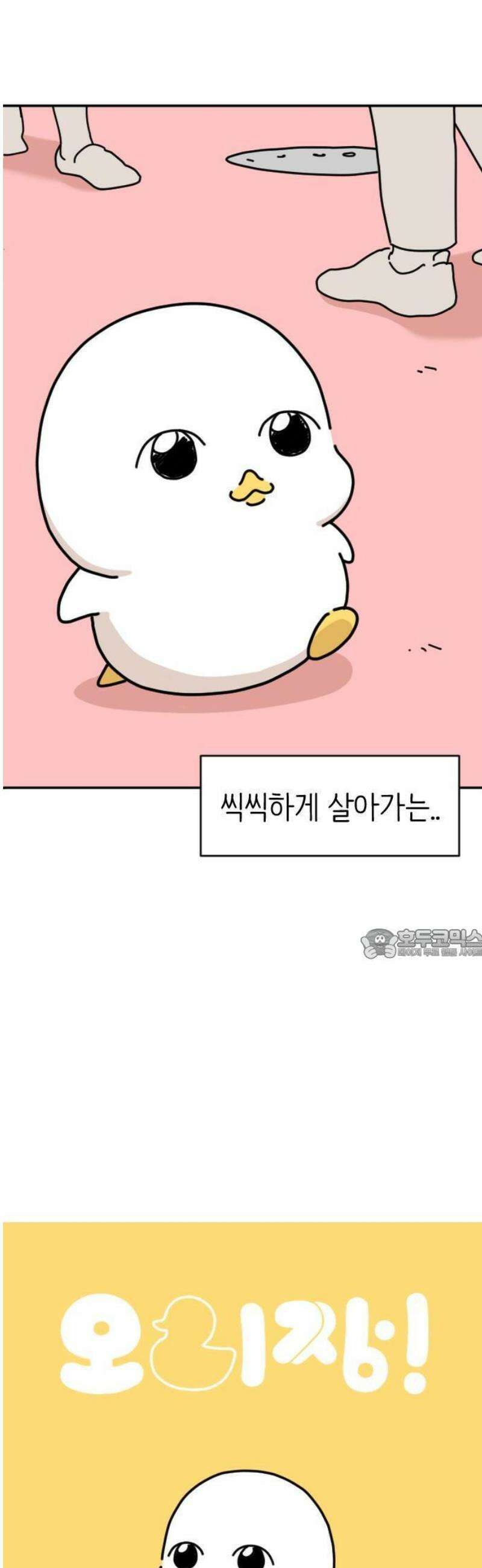 오리짱! 1화 함께 살게 되기까지(1) 7