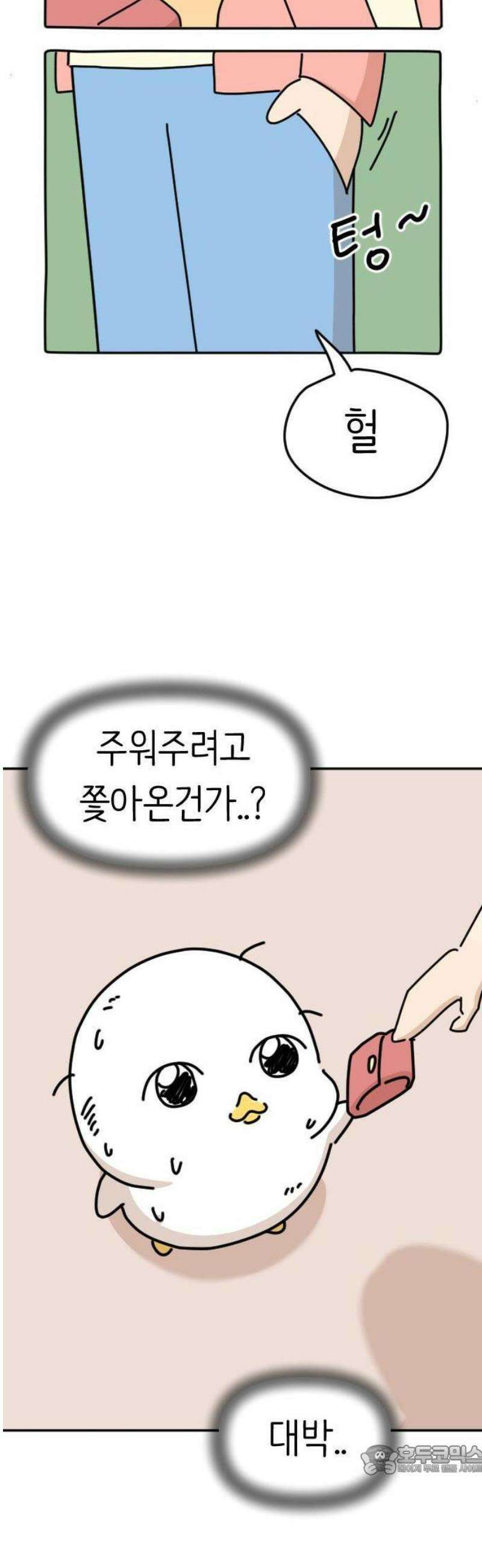 오리짱! 1화 함께 살게 되기까지(1) 27