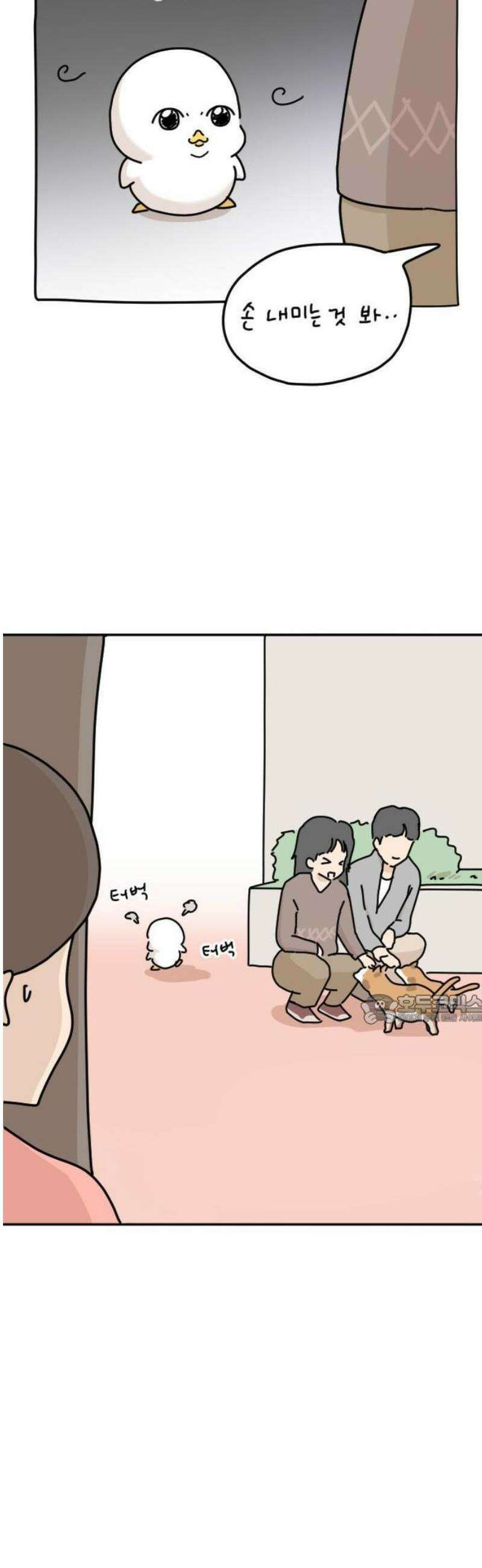 오리짱! 1화 함께 살게 되기까지(1) 38
