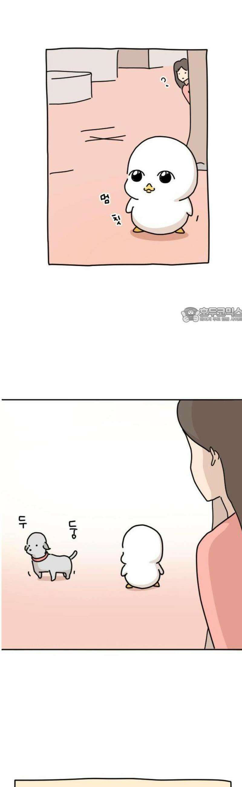 오리짱! 1화 함께 살게 되기까지(1) 43