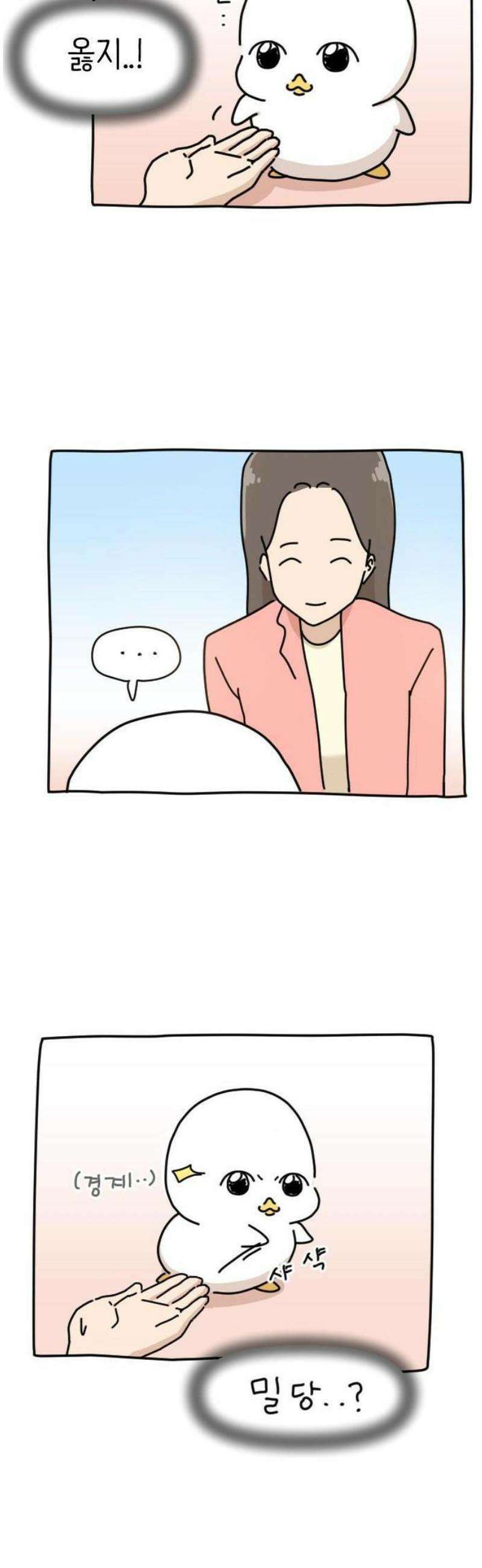 오리짱! 1화 함께 살게 되기까지(1) 53