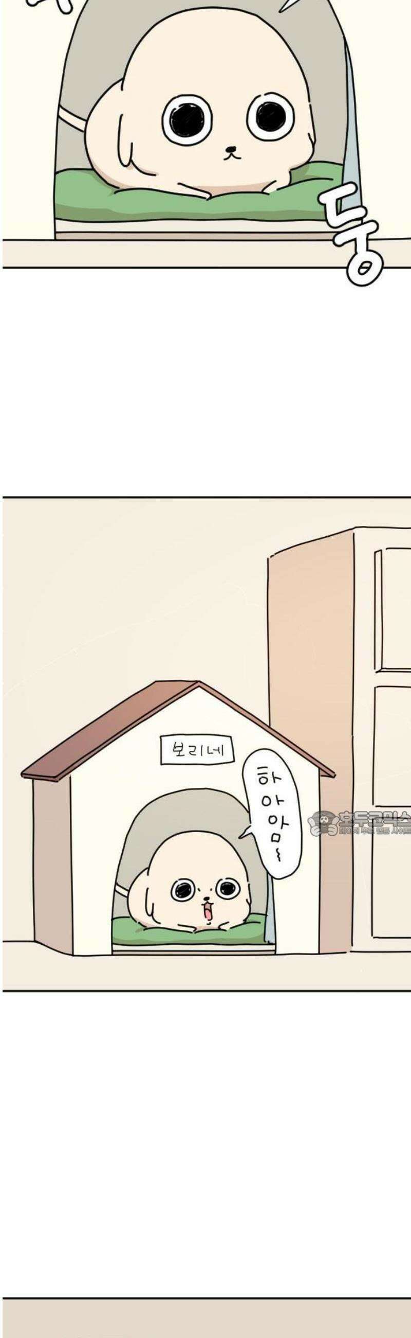 오리짱! 1화 함께 살게 되기까지(1) 63