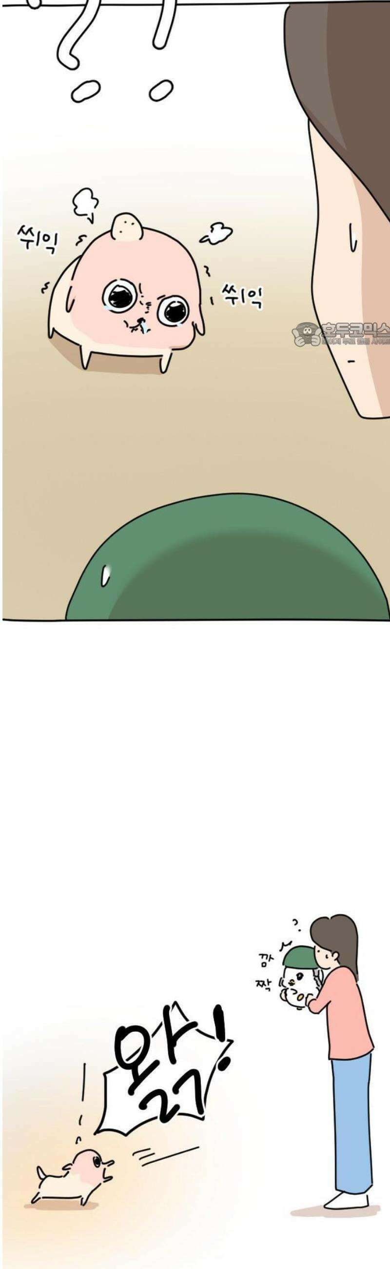오리짱! 1화 함께 살게 되기까지(1) 80