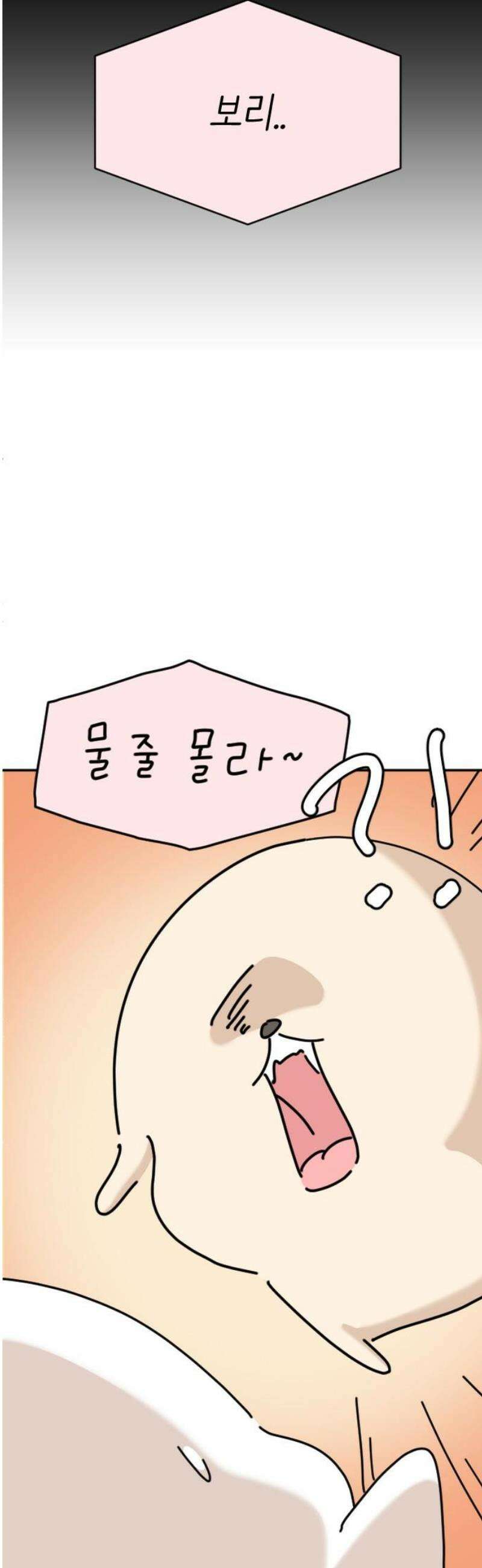 오리짱! 2화 함께 살게 되기까지(2) 29