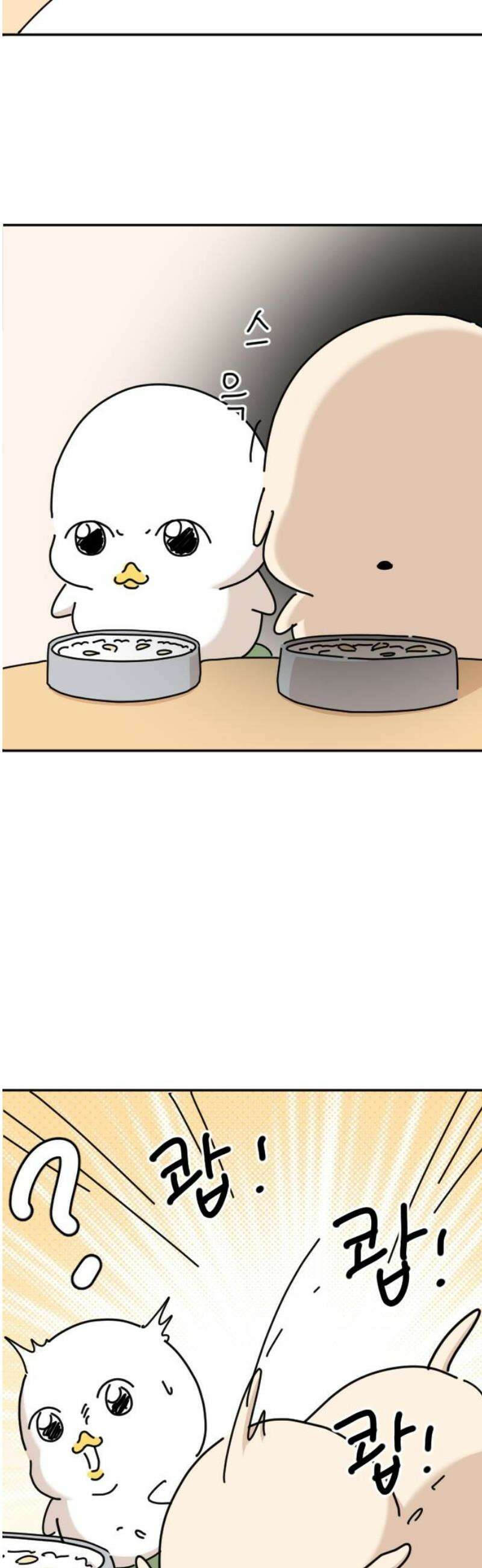 오리짱! 2화 함께 살게 되기까지(2) 53