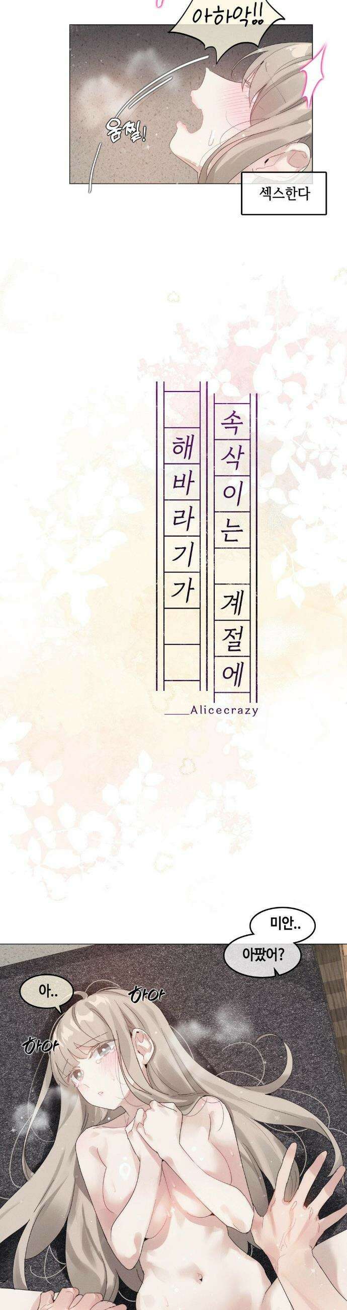 해바라기가 속삭이는 계절에 11화 3