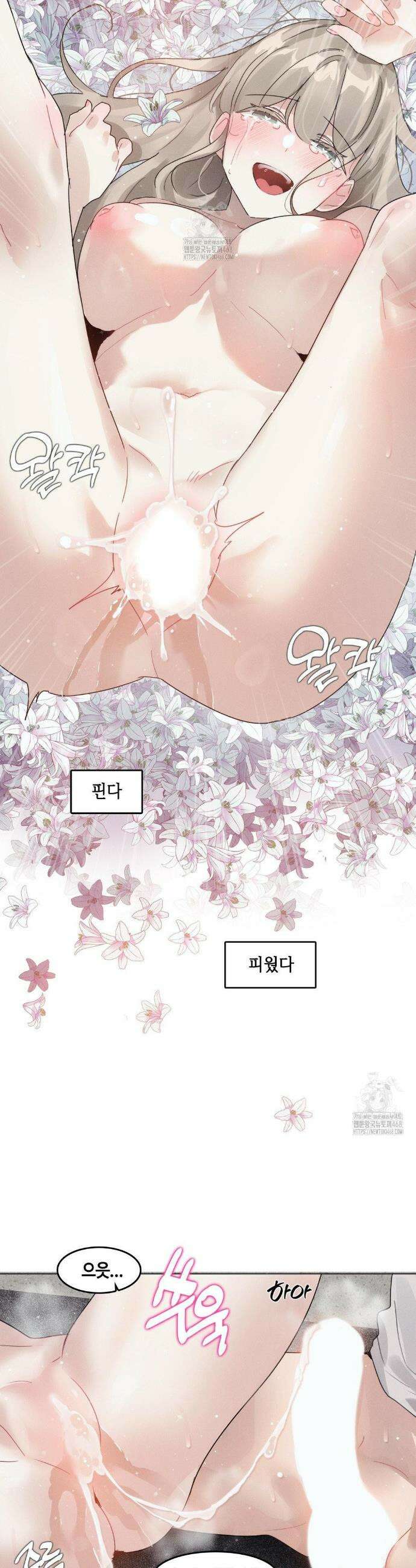 해바라기가 속삭이는 계절에 11화 12